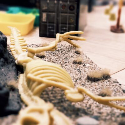 1742378433794 1742378433794